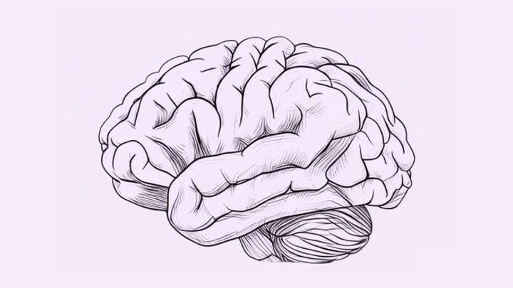 Deep Learning for Medical Imaging
