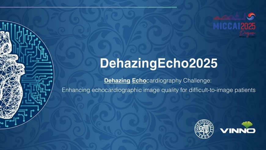 DehazingEcho2025